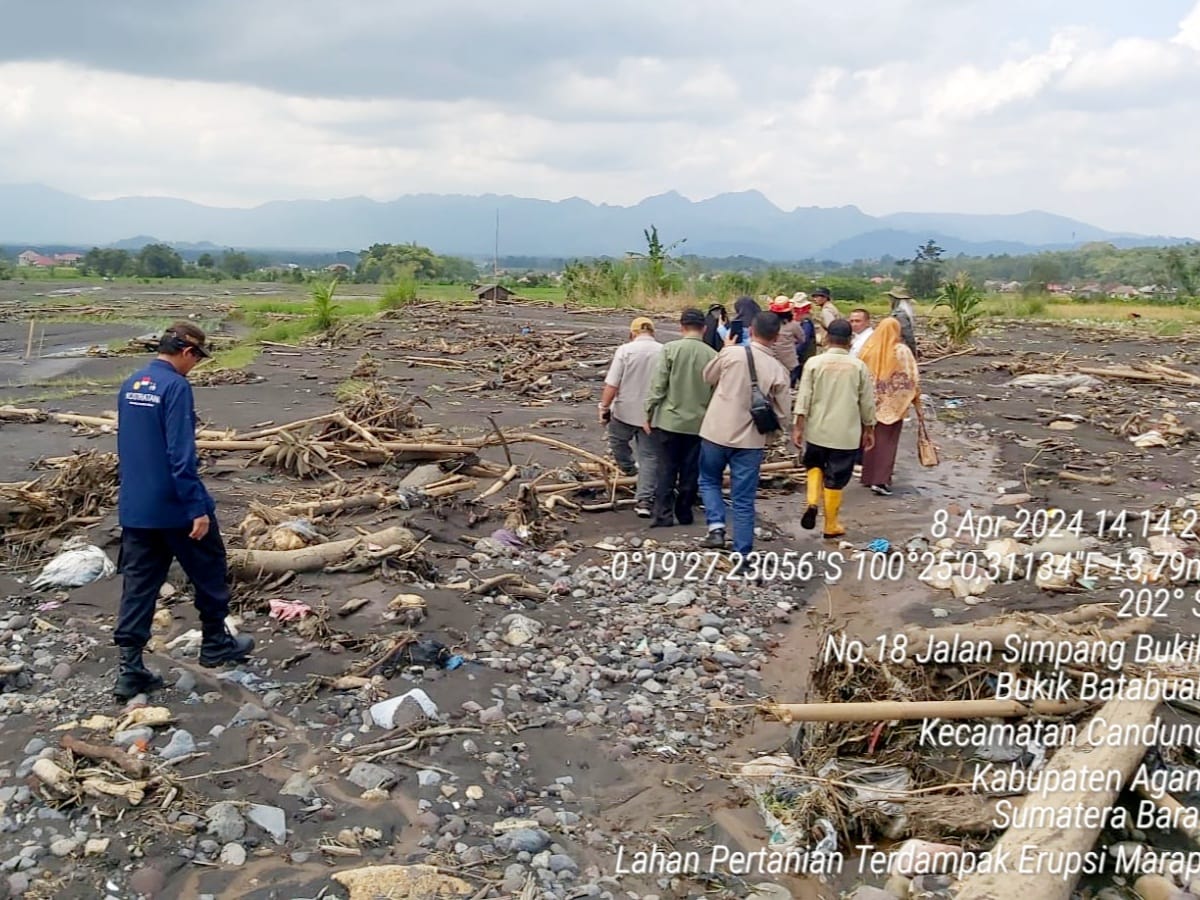 Kementan Ha Lahan Terdampak Erupsi Marapi Banjir Lahar