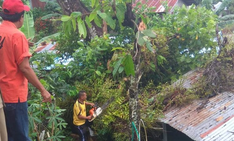 Petugas BPBD Kota Padang memotong pohon yang tumbang ke rumah warga. (Foto: BPBD Padang)