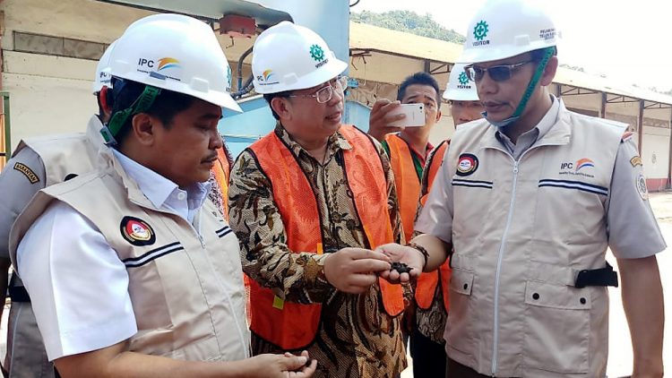 Kepala Barantan meninjau proses pengapalan 32.000 ton cangkang sawit yg akan di ekspor ke Korea Selatan senilai Rp31,36 miliar (Foto: Badan Karantina Pertanian)