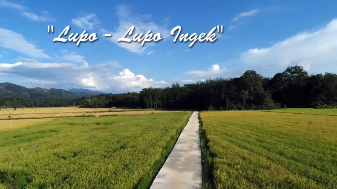 Peringati Hari Film Nasional, Rumah Nusantara 74 akan Nonton Bareng Film Dokumenter