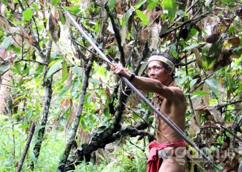 Seorang Sikerei asal Siberut Selatan memperagakan cara menggunakan panah tradisional Mentawai (Foto: FZ / Langgam.id)