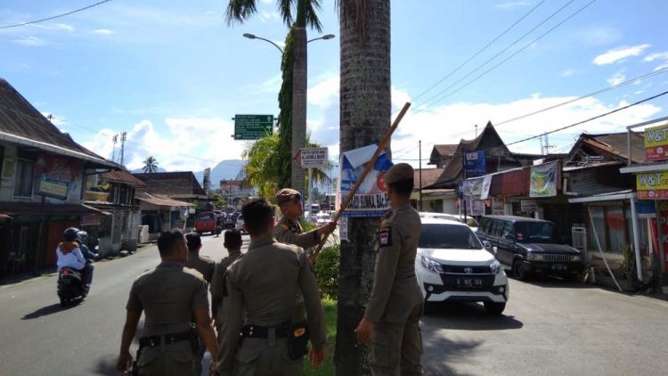 Petugas Satpol PP Kota Padang menertibkan alat peraga kampanye yang dipasang di pohon. (Foto: Rahmadi)
