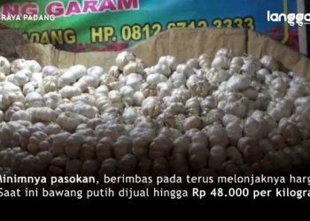Bawang putih langka di Pasar Raya Padang. (Foto: CU)