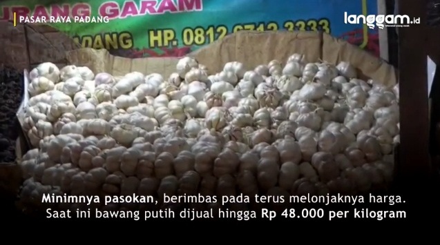 Video: Langka, Harga Bawang Putih Melonjak di Padang
