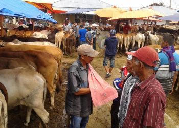 Aktifitas Pasar Ternak Muara Panas, Kabupaten Solok (dokumen Riki)