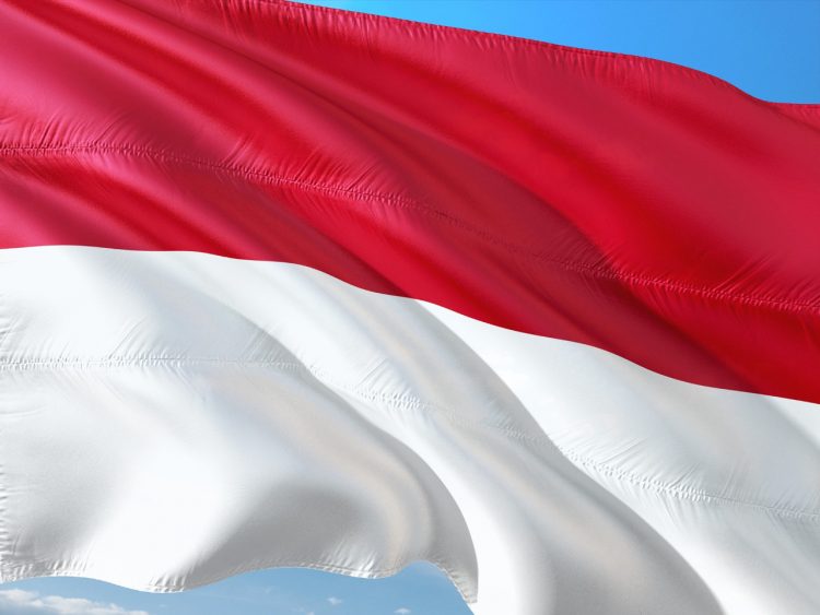 Bendera merah putih (pixabay.com)
