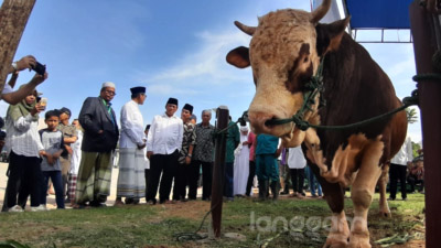 Kurban Presiden Jokowi Sumbar