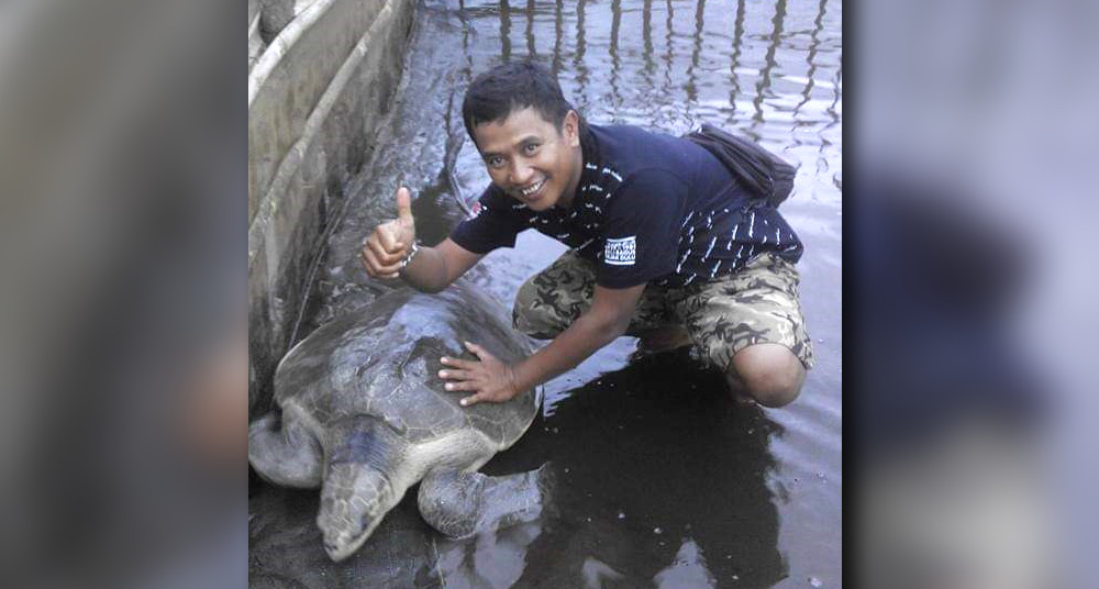 Konservasi Penyu Laskar Turtle Camp Pesisir Selatan Sajikan Wisata Edukasi
