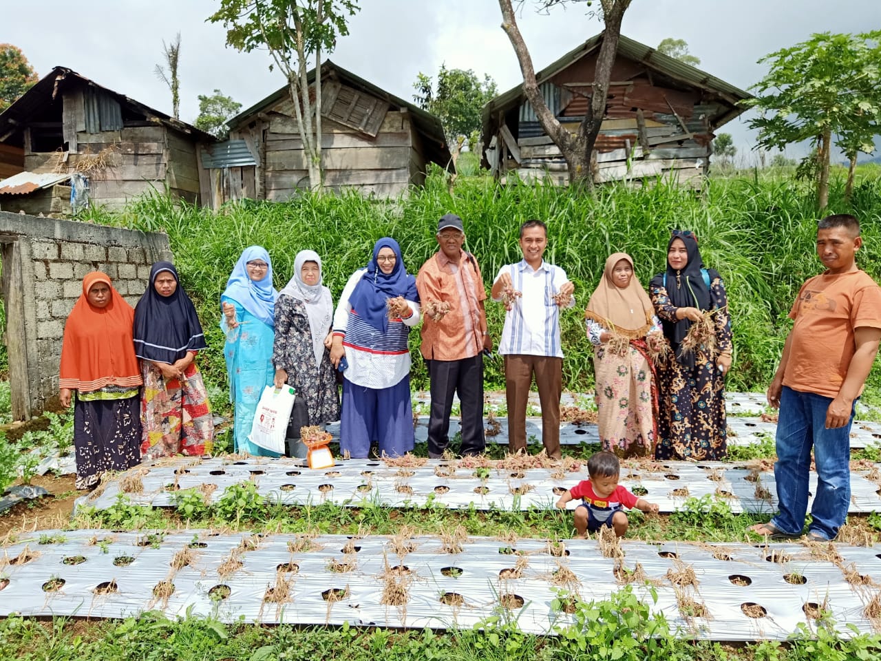 Petani Solok Didorong Tanam Bawang Bersertifikat