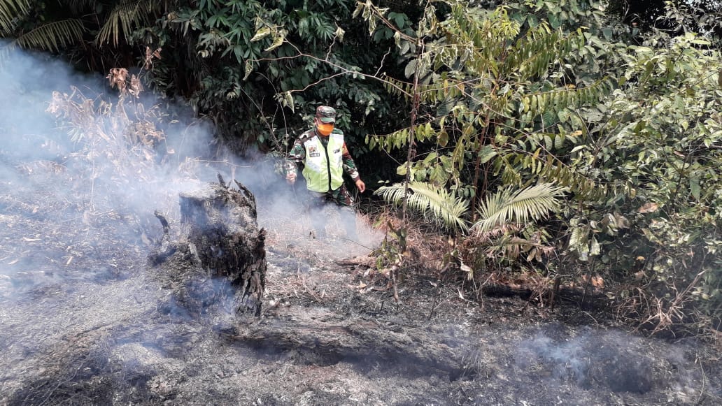 Karhutla di Tanah Datar, Dandim 0307: Hanya Pinggiran, Api Sudah Padam