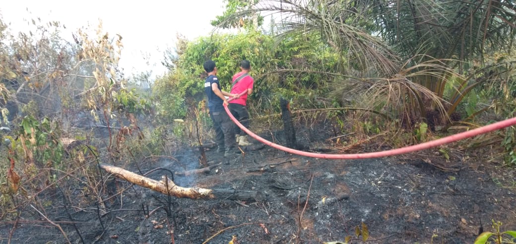 4 Bulan Terakhir, 14 Kasus Karhulta Terjadi di Solok Selatan