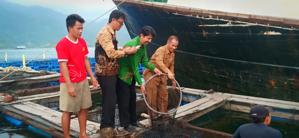 Ekspor ke Hongkong, Petani Budidaya Kerapu Kawasan Mandeh Dilirik Perbankan