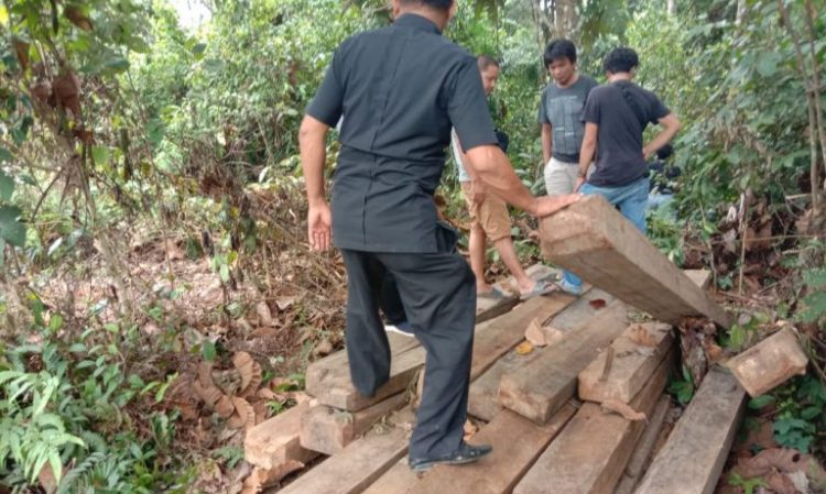 Kayu yang diduga hasil pembalakan liar disita polisi. (Foto: Polres Pesisir Selatan/tribratanews.sumbar.polri.go.id)
