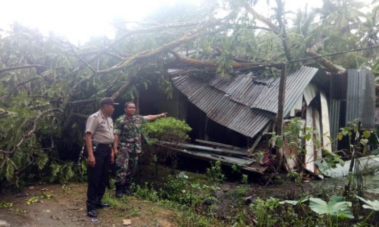 Petugas polisi dan TNI mengecek rumah yang tertimpa pohon tumbang. (Foto: tribratanews.sumbar.polri.go.id)