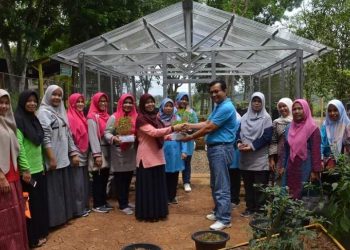Kepala Dinas Pangan dan Perikanan Kabupaten Tanah Datar menyerahkan bibit tanaman pangan produktif. (Foto: Pemkab Tanah Datar)