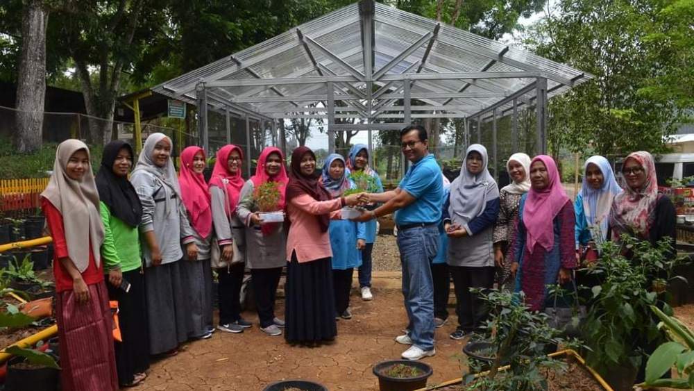 10 Ribu Bibit Tanaman Pangan Gratis untuk Masyarakat dari Dinas Pangan dan Perikanan