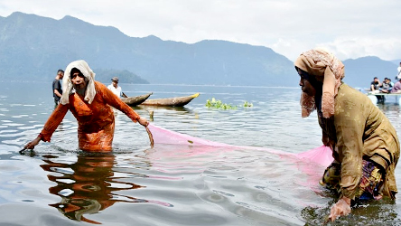 RINUAK DANAU MANINJAU, danau maninjau keramba