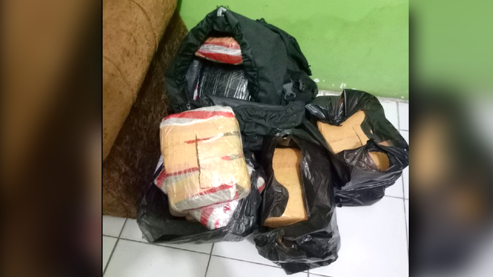 Bawa Ganja 21 Kilogram, Pelajar di Pasaman Diciduk Polisi