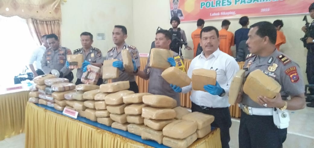 Usai Ditimbang, Total Ganja Pengedar di Pasaman 78 Kilogram
