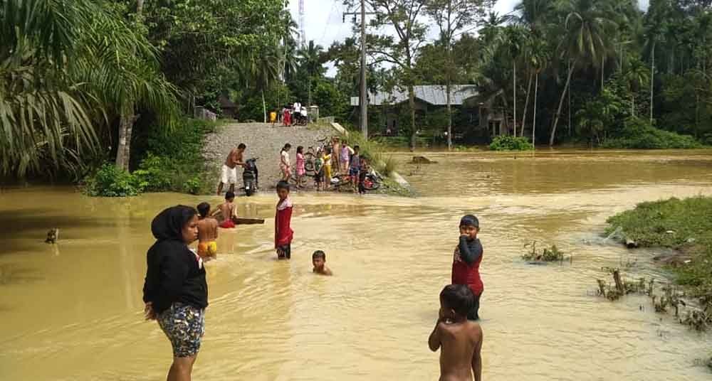 2 Kecamatan di Dharmasraya Dilanda Banjir, Puluhan Hektare Sawah Terancam Gagal Panen