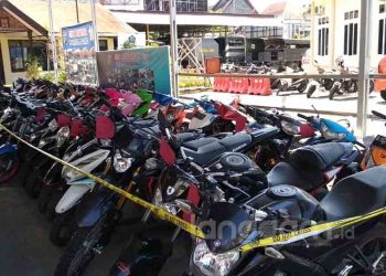 55 unit sepeda motor hasil pencurian di Polresta Padang. (Foto: Irwanda)