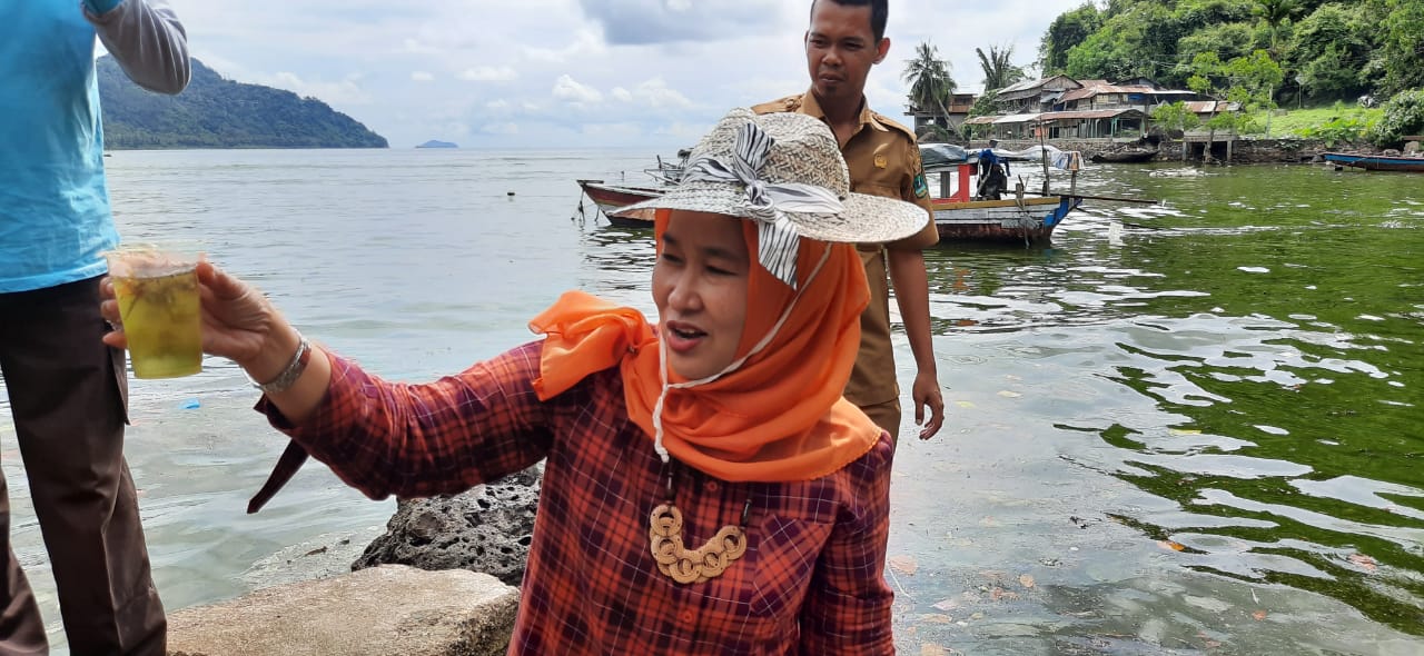 Kepala Dinas DLH Sumbar, Siti Aisyiah mengambil sampel air laut hijau di Kota Padang. (Sumber: DLH Sumbar)