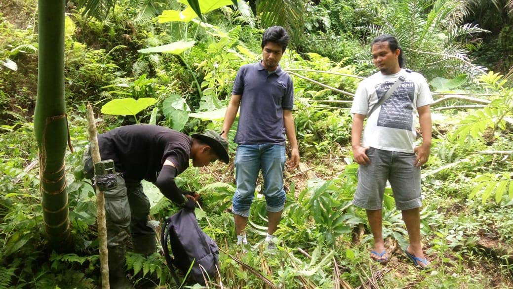 BKSDA Agam pasang kamera penjebak harimau Sumatra
