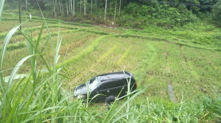Pernah Masuk Kolam dan Jurang, Kali Ini Mobil Terjun ke Sawah di Jalur Palupuh