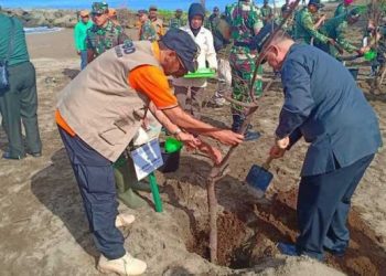 Bersama menjaga pohon pelindung tsunami