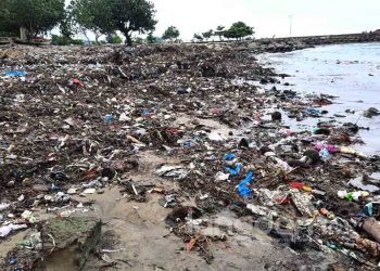 Tumpukan sampah sekitar 100 meter yang berada di sepanjang bibir Pantai Muaro Lasak Padang. (Rahmadi/Langgam.id)