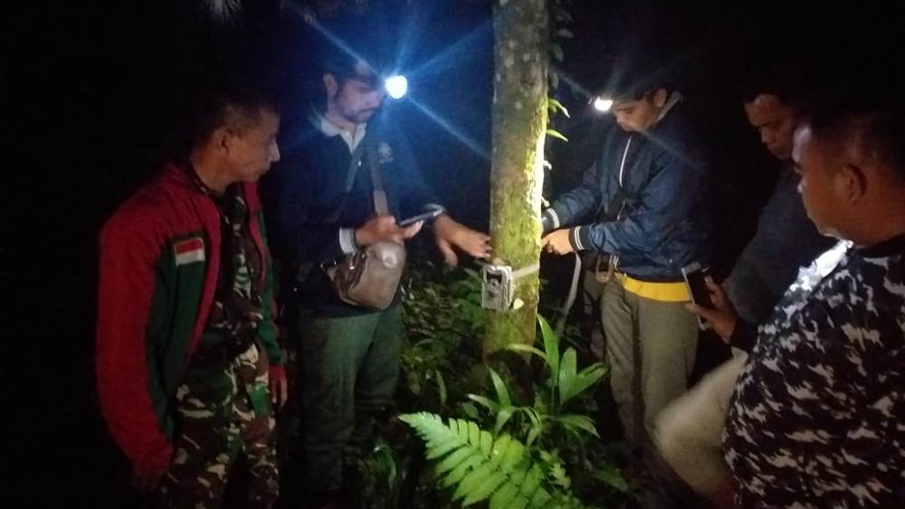 Jejak Harimau Dekat Pemukiman di Padang Pariaman, BKSDA Pasang Kamera Pemantau