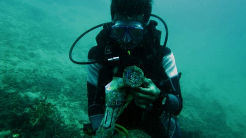 Penyelam menemukan sampah plastik di pantai Padang