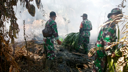 KEBAKARAN LAHAN SAWIT