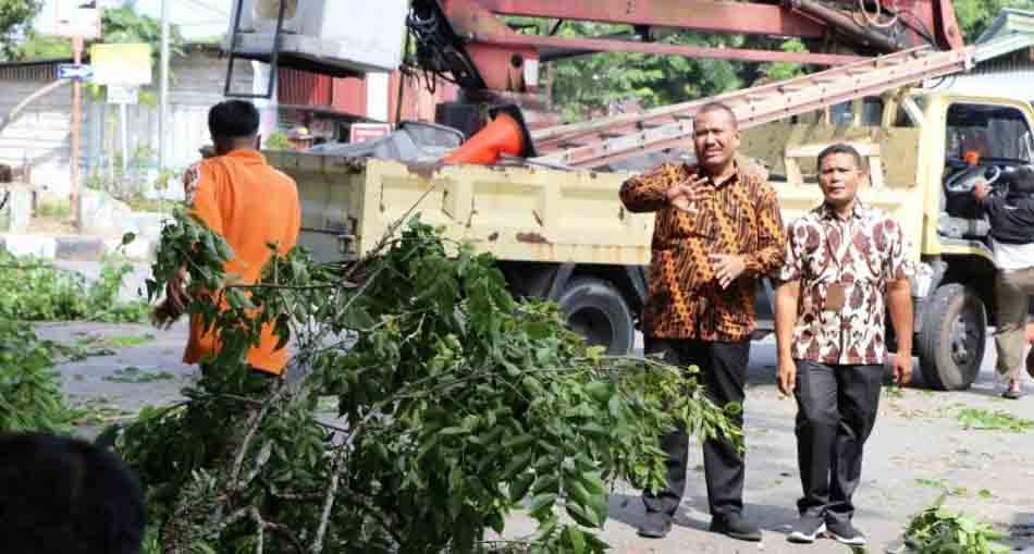 Antisipasi Cuaca Ekstrem, Pemko Pariaman Remajakan Pohon Pelindung