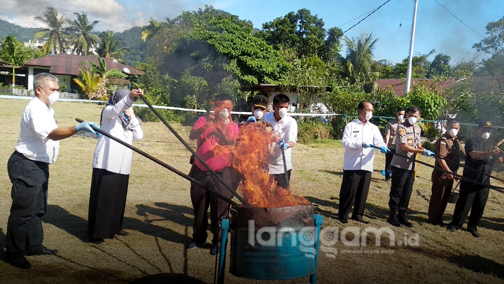 Pemusnahan Ganja di Sumbar