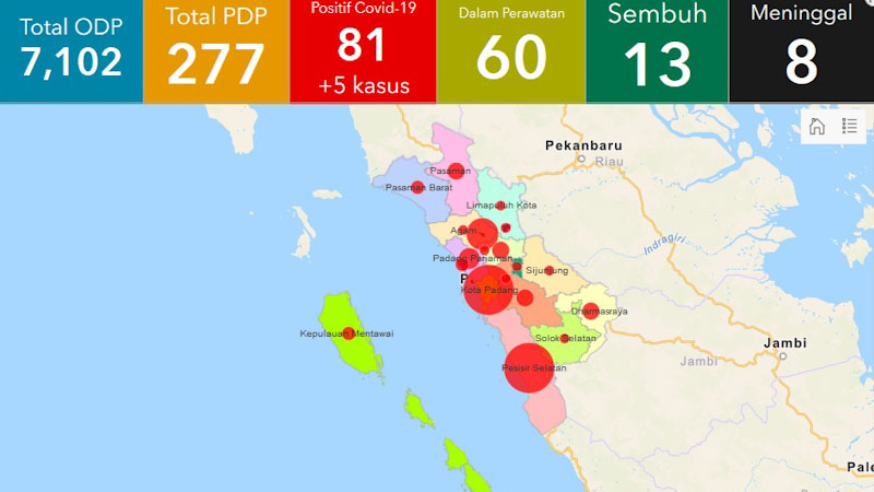 Sebaran 81 Kasus Positif Corona Sumbar di 11 Kota dan Kabupaten
