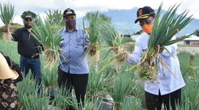 Waspadai Dampak Covid-19, Indra Catri Siapkan Jaring Pengaman Pangan Agam