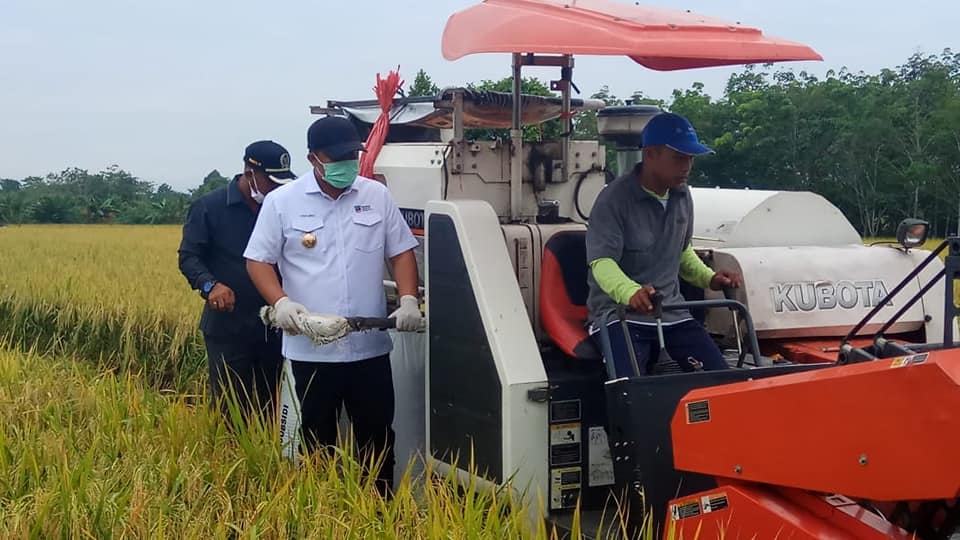 Pandemi Covid-19, Kabupaten Dharmasraya Pastikan Stok Pangan Cukup