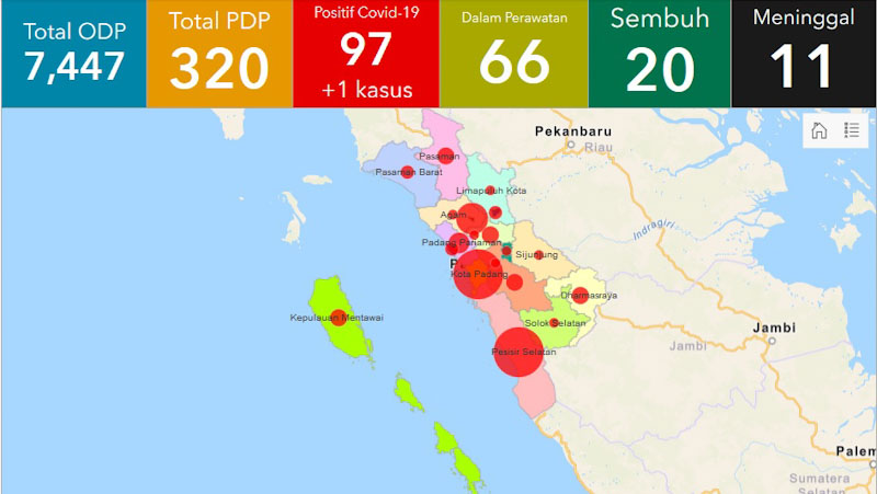 Sebaran 20 Pasien Sembuh dari Corona di Sumbar, 7 Kota dan Kabupaten Belum Ada Kasus