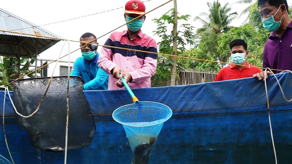 Kominfo Kota Pariaman