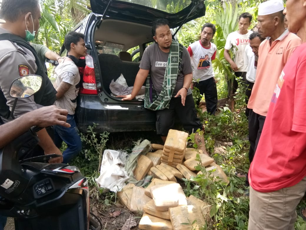 Tersangka dan barang bukti ganja yang diamankan Polres Pasaman. (Foto: Dok.Polres Pasaman)