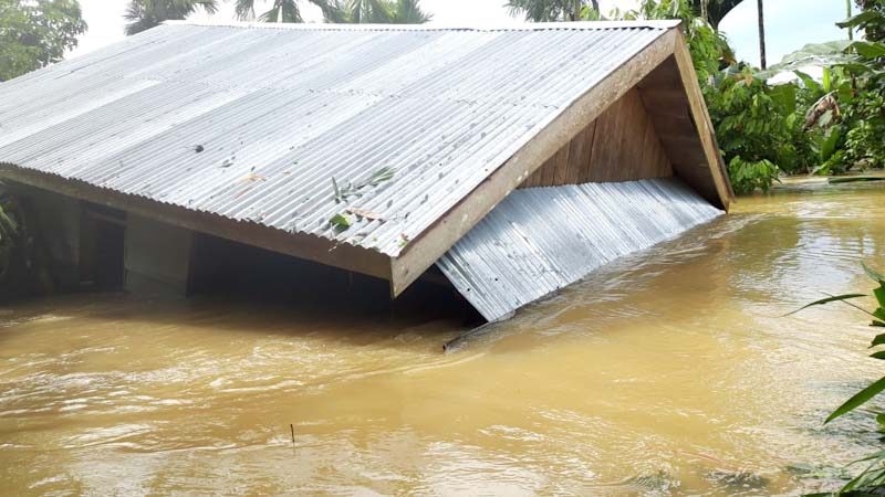 Pulau Siberut Direndam Banjir 3 Hari, YCM Desak Semua Izin Pemanfaatan Kayu Dicabut