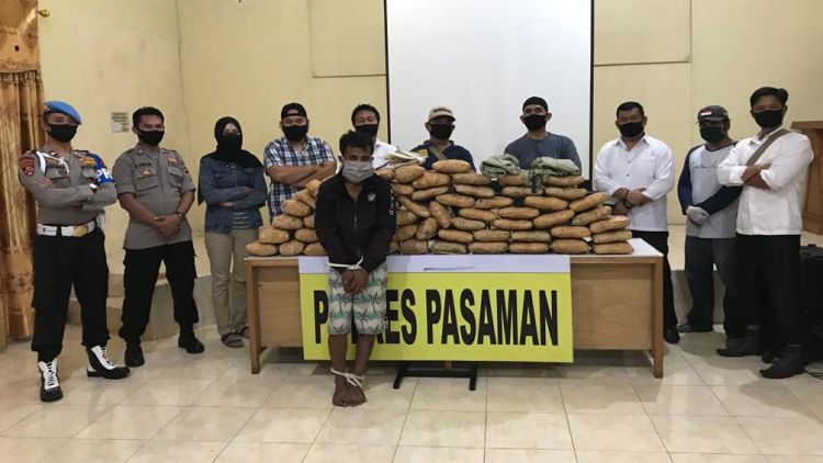 ganja di Pasaman