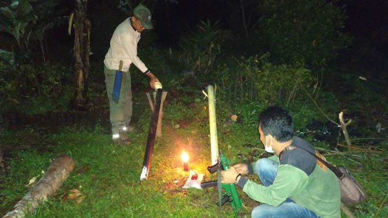 Harimau Sumatra Solok