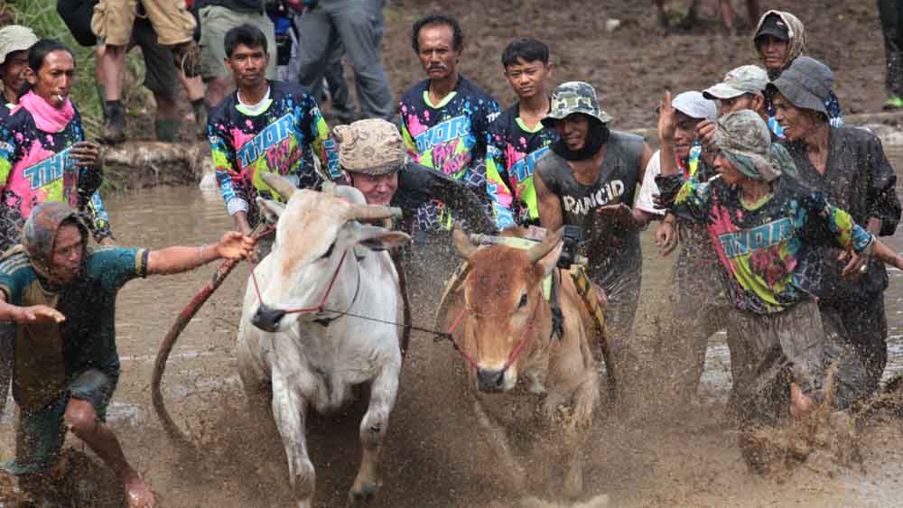 Gordon Ramsay di Tanah Datar
