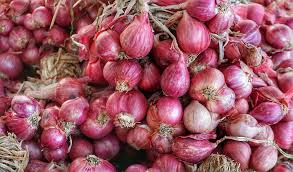 Harga bawang merah di Padang Panjang turun pada minggu pertama Mei ini. Harga bawang turun dari dari Rp52.167 per kg menjadi Rp51.000/kg.