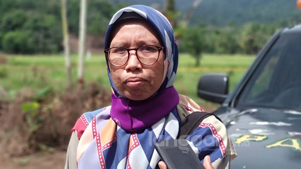 Koridor Harimau Sumatra