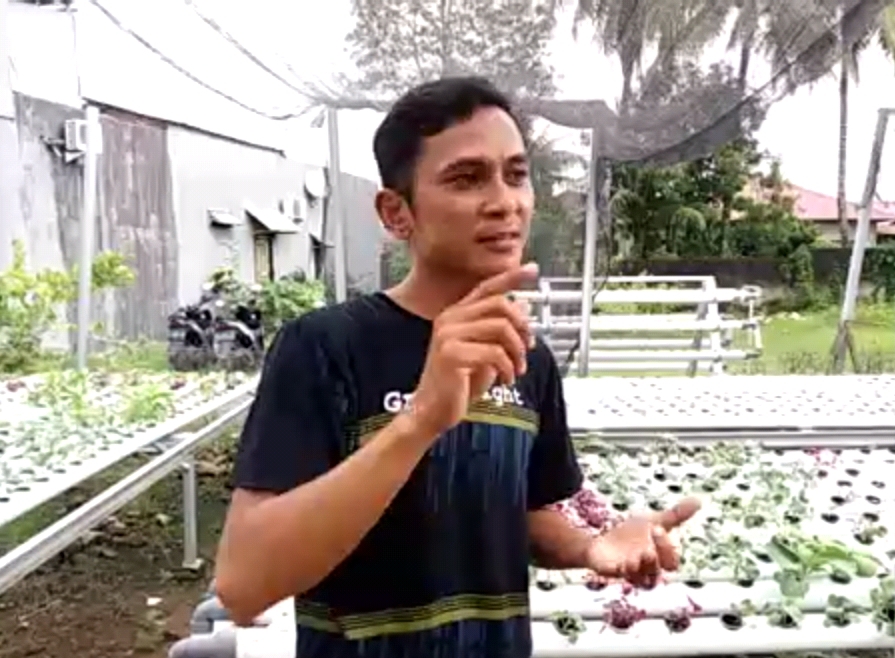 Menumbuhkan Kedaulatan Pangan dari Pekarangan