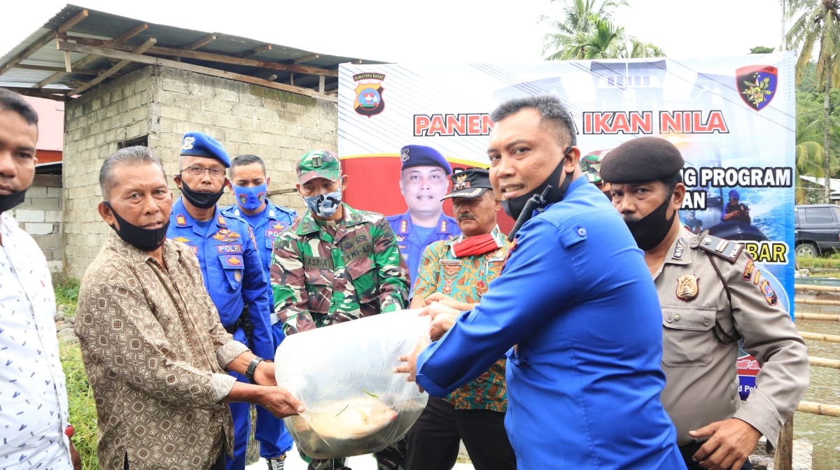 Direktur Polairud Polda Sumbar, Kombes Pol Sahat Marisi Hasibuan panen ikan nila di kawasan Kelurahan Tarantang, Kecamatan Lubuk Kilangan, Kota Padang, Kamis (9/7/2020). (Foto: Dokumen Polairud Polda Sumbar)