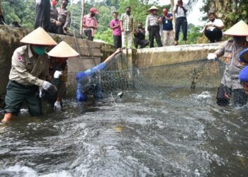 Pelepasan bibit ikan bantuan Pemkab Agam untuk masyarakat. (Foto: Dok.Humas Pemkab Agam)